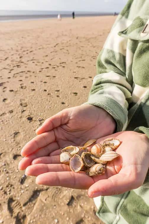 Strand van Rockanje