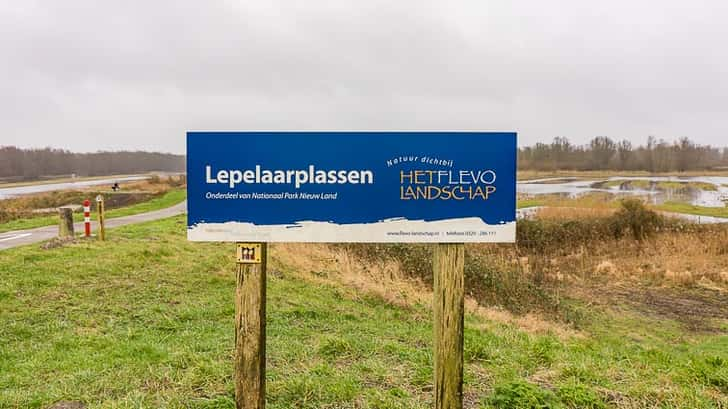 Lepelaarsplassen