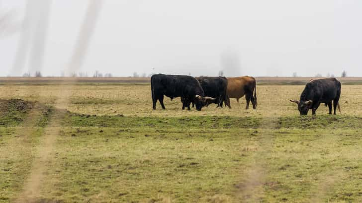 Nationaal Park Nieuw Land