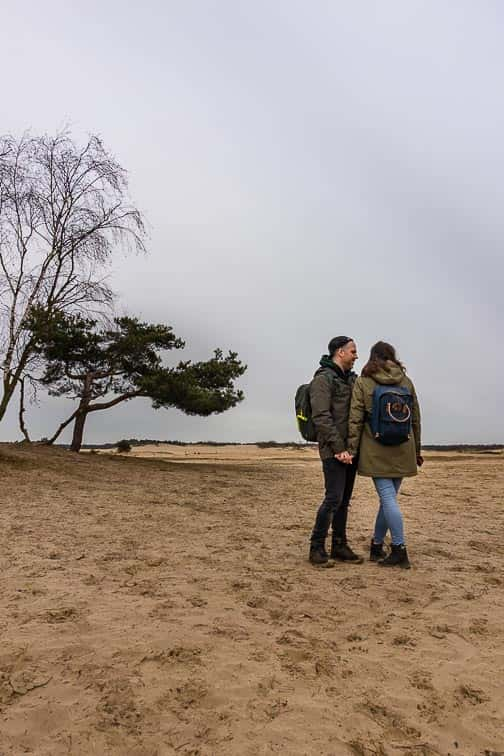 Loonse en Drunense Duinen Van Gogh Nationaal Park