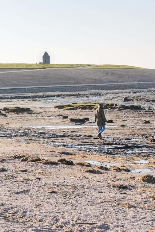 Waddenzee Werelderfgoed Wierum