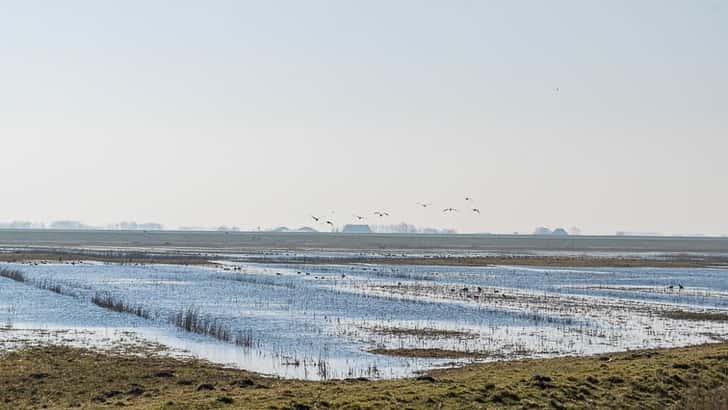 De Bantpolder