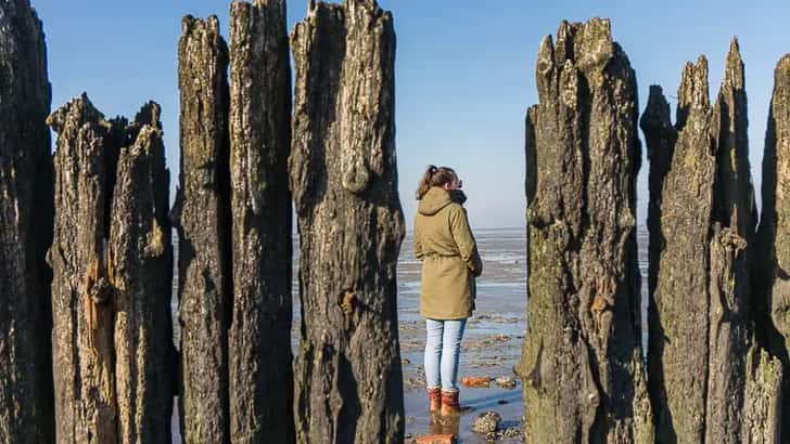 Waddenzee gebied