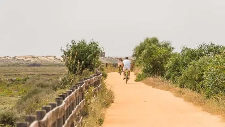 Fietsen in Ria Formosa