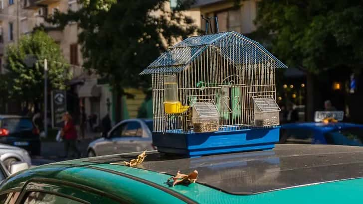 Straatbeeld Shkodër in Albanië