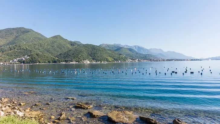 Lake Shkodra in Albanië