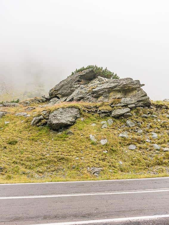 Transfăgărășan