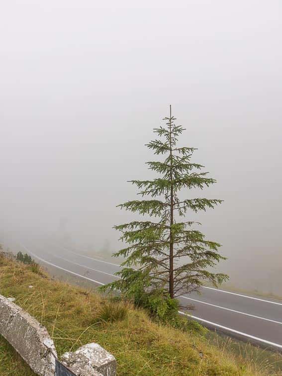 Transfăgărășan