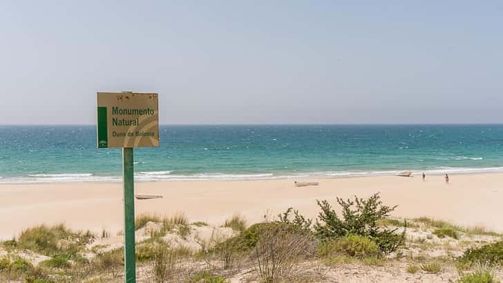 Bolonia Costa de la Luz