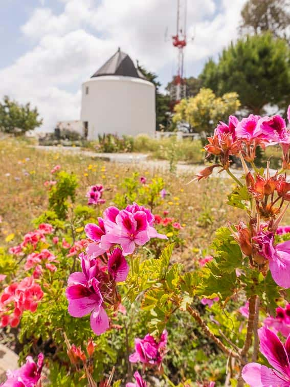 Vejer de la Frontera Spanje