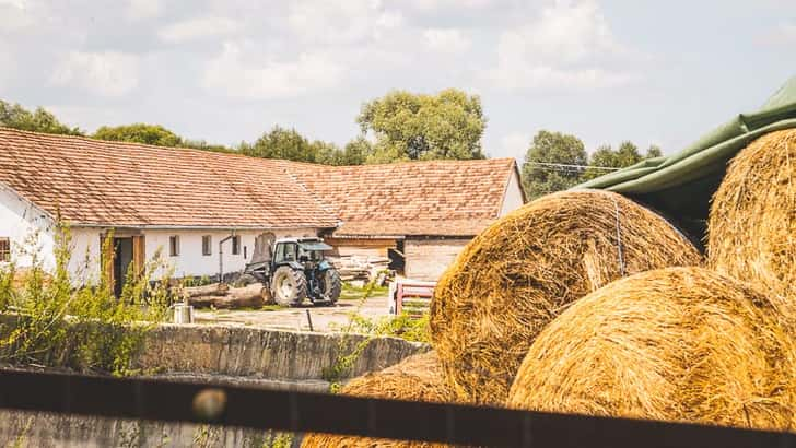 Platteland van Transsylvanië