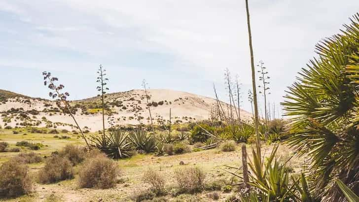 Playa de Mónsul