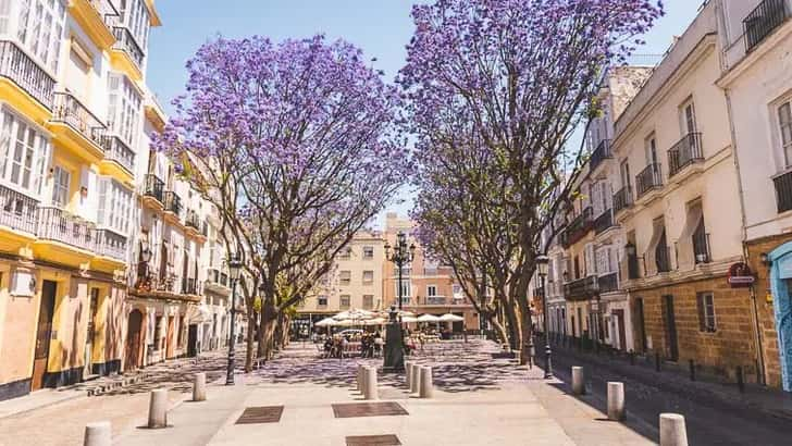 Calle Virgen de la Palma