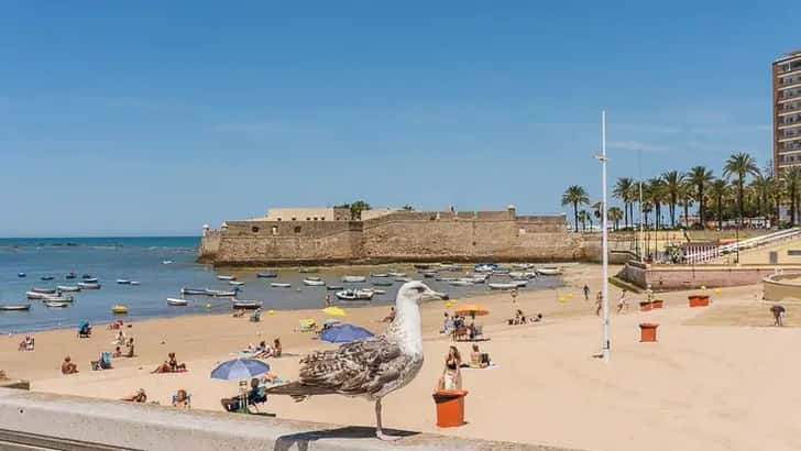 Playa de La Caleta