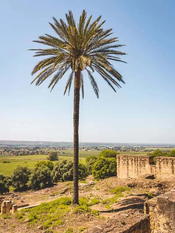 Medina Azahara