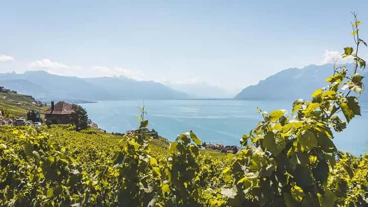 UNESCO wijngaardterrassen van Lavaux