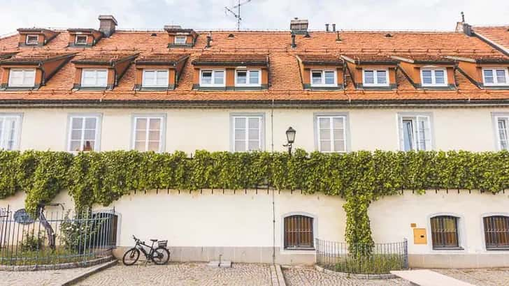 Old Vine House Maribor