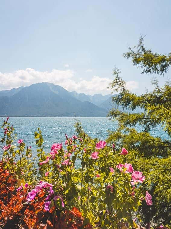 Promenade sur les Quais de Montreux