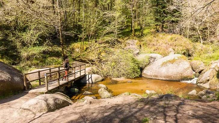 Huelgoat Forest Bretagne