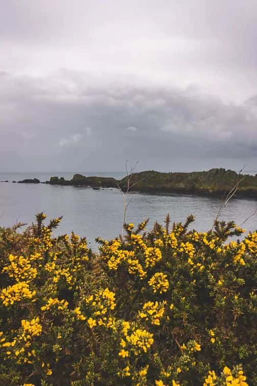 Pointe du Grouin Bretagne