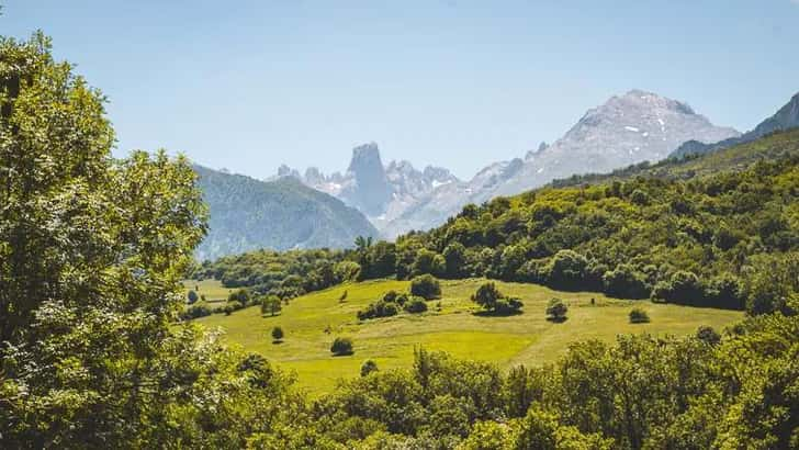 Picos de Europa