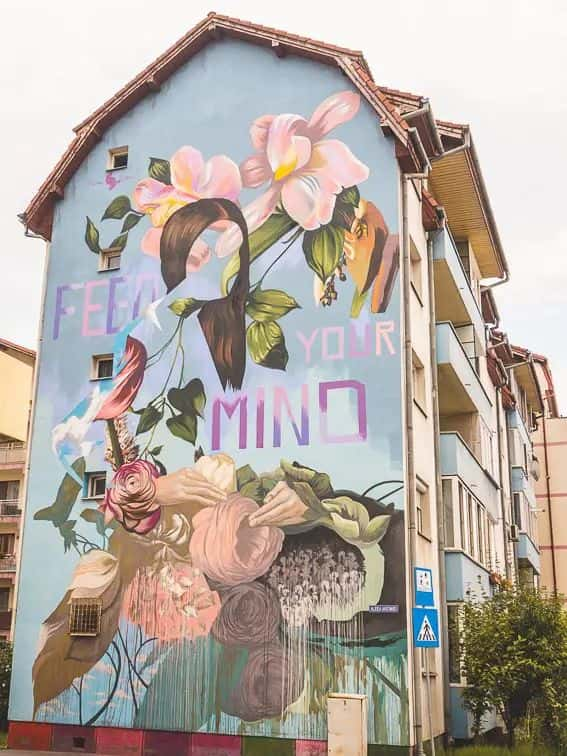 Street art Sibiu