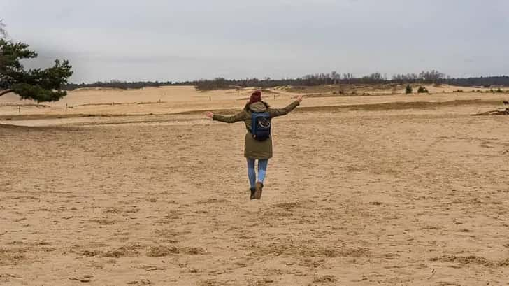 Loonse en Drunense Duinen Van Gogh Nationaal Park