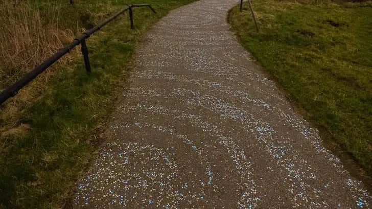 Van Gogh-Roosegaarde fietspad