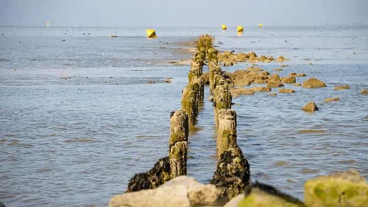 Lauwersmeer