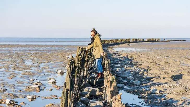 Wierum Waddengebied