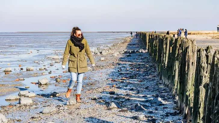 Waddenzee gebied: Wandelen bij Moddergat