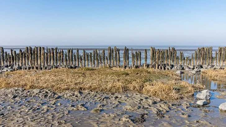 Waddenzee gebied: Wandelen bij Moddergat