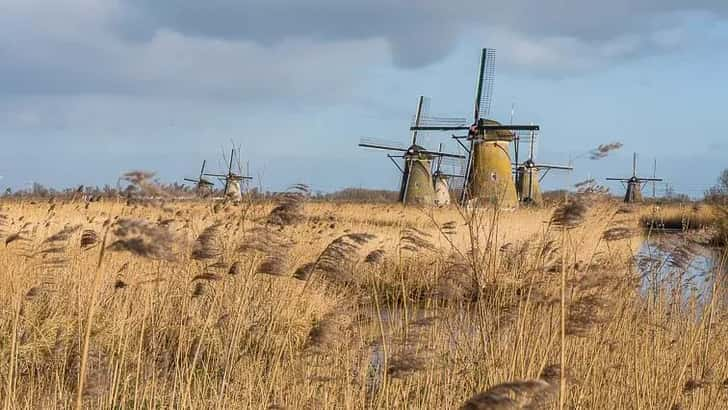 Kinderdijk