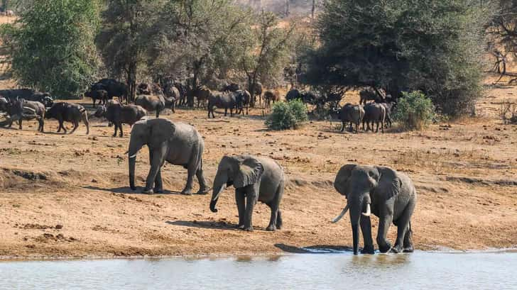 zonvakantie in februari in zuid afrika