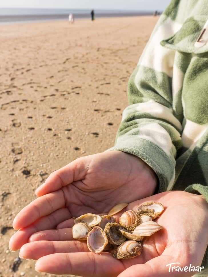 Hotels aan de zee in Nederland tips voor de leukste steden