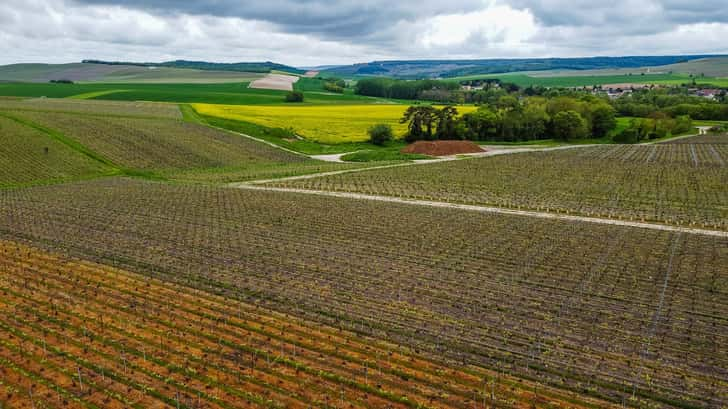 Roadtrip door Frankrijk - Champagnestreek