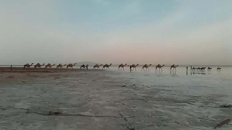 Ethiopië bezienswaardigheden. Danakil