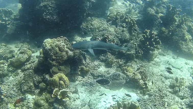 Sipadan