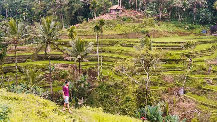 Route Bali: Ubud