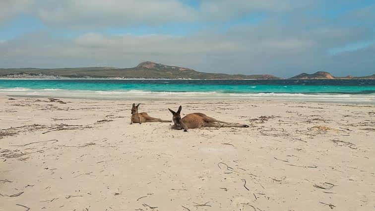 Lucky Bay Australië