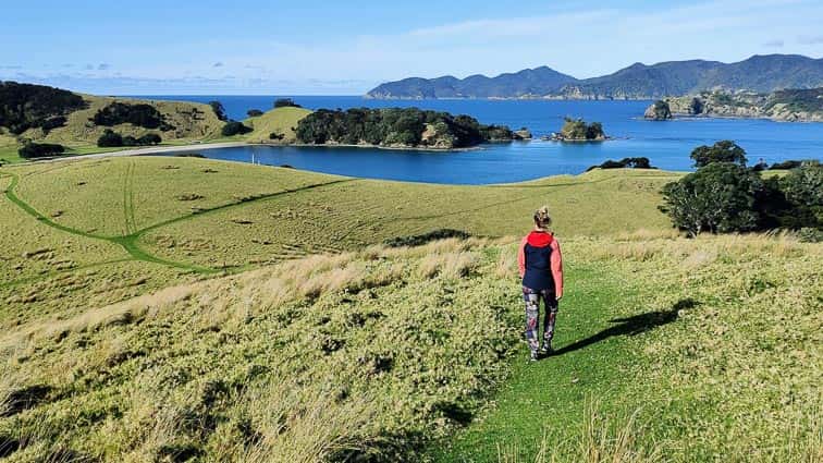 Bay of Islands