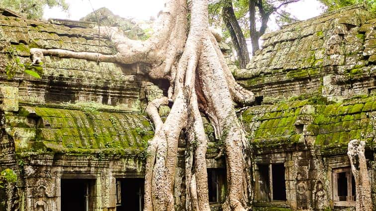 Ta Prohm