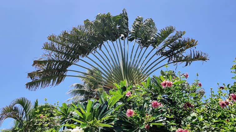 Frans Polynesië