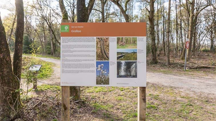 Grolloërveen