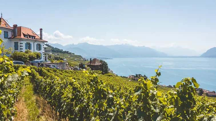 UNESCO wijngaardterrassen van Lavaux