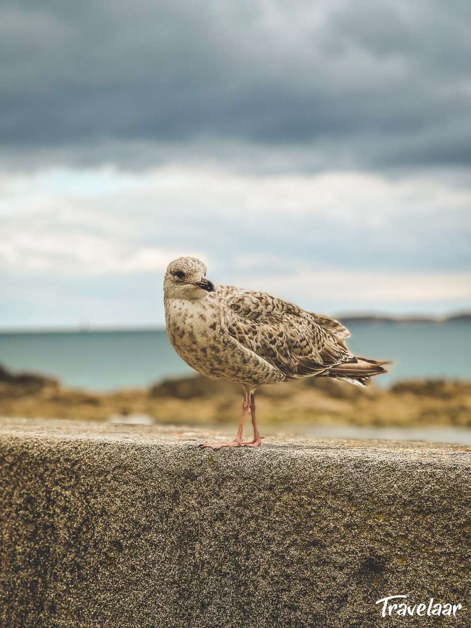 De stranden van Saint-Malo 