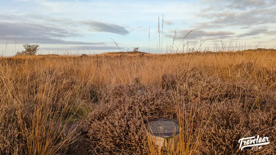 Galgenberg Balloërveld