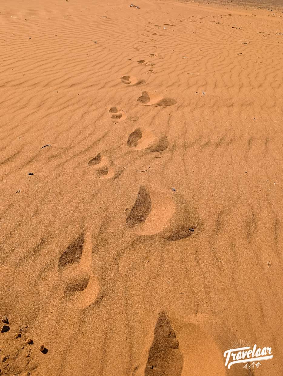 Erg Chebbi