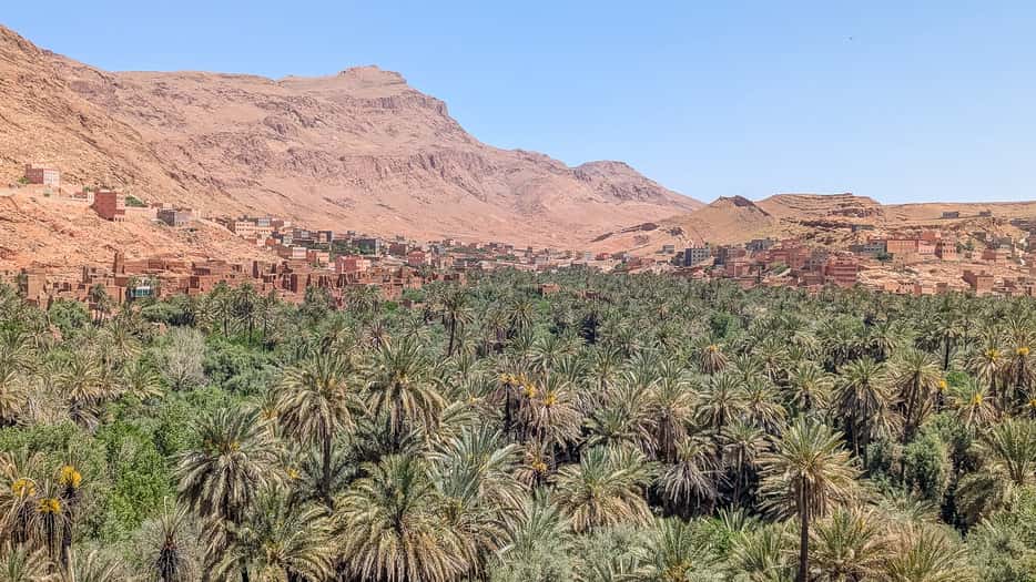 Palmeraie de Tinghir