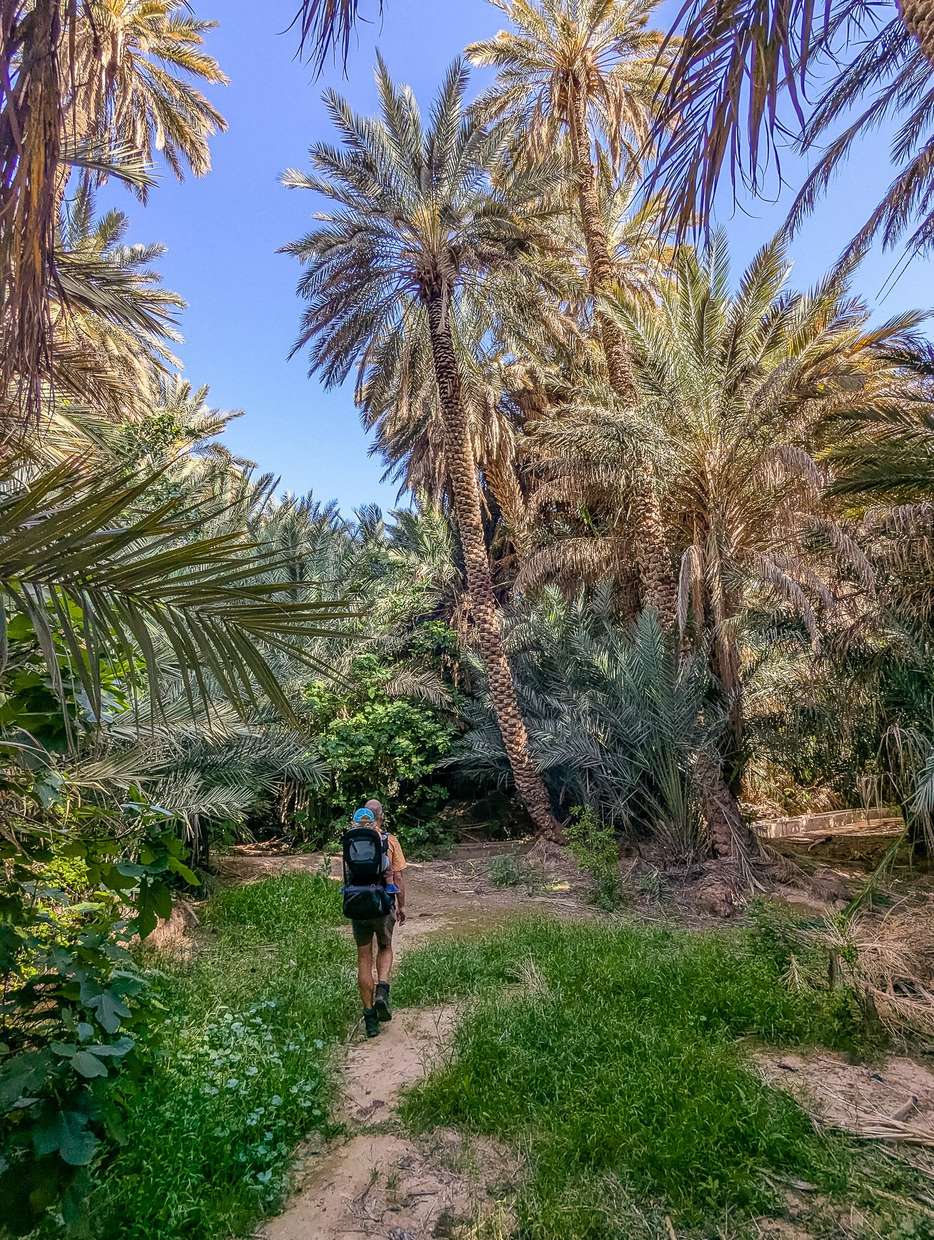 Palmeraie de Tinghir oase